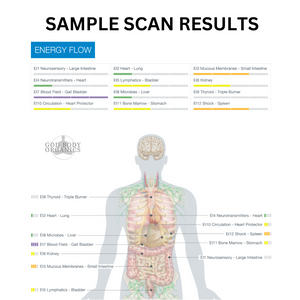 Total Body Scan